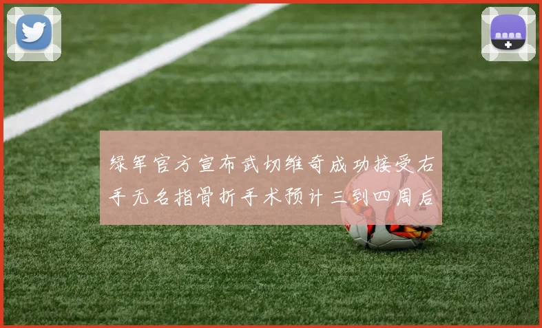 绿军官方宣布武切维奇成功接受右手无名指骨折手术预计三到四周后复查