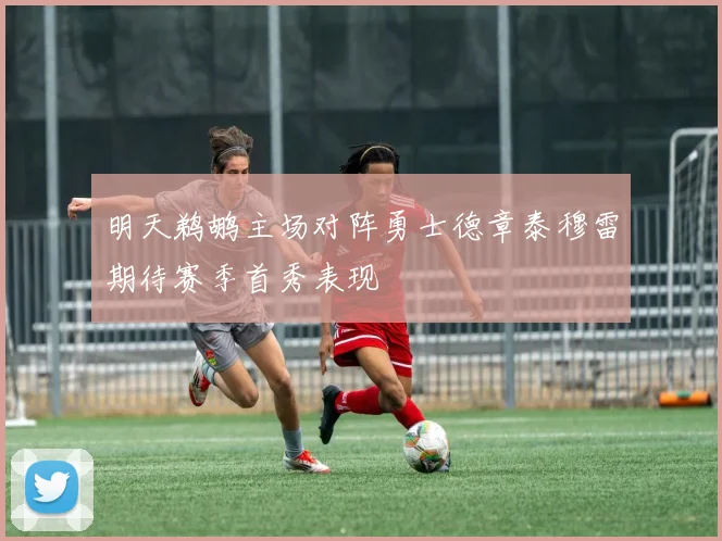明天鹈鹕主场对阵勇士德章泰穆雷期待赛季首秀表现
