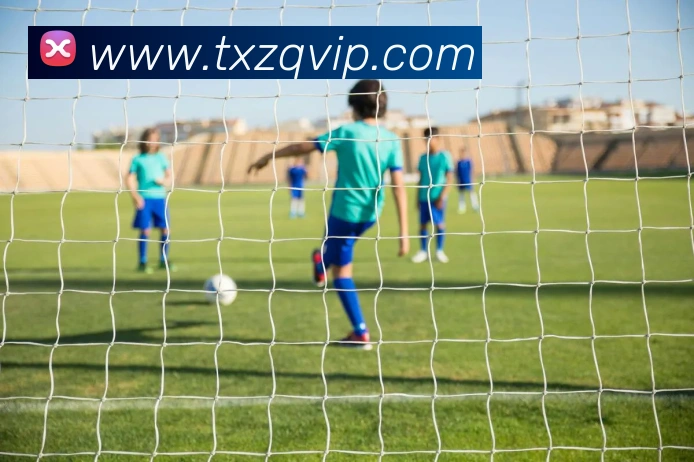 天下足球服务体系